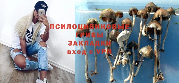 мескалин Медвежьегорск