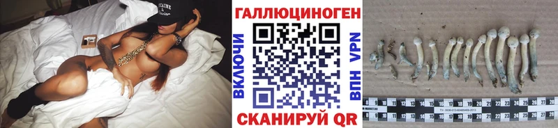 Галлюциногенные грибы мицелий  цена   Черкесск 