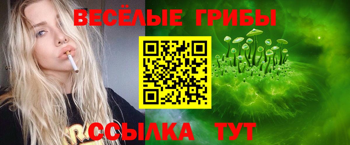 Черкесск  Галлюциногенные грибы Psilocybe  Псилоцибиновые грибы ЛСД  Вход с VPN 