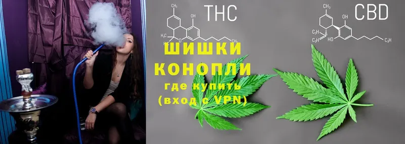 как найти закладки  Черкесск  omg ТОР  Шишки марихуана THC 21% 